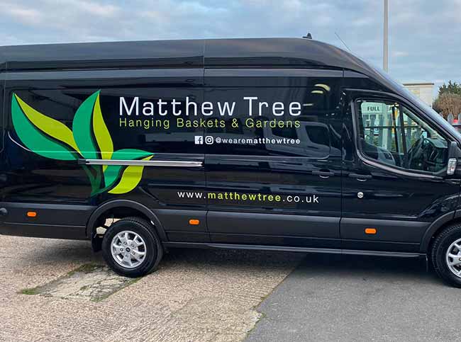 MatthewTreeVancrop